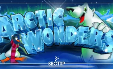 Arctic Wonders