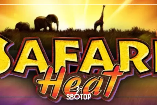 SBOTOP: Safari Heat เกมสล็อตซาฟารีสุดฮิตจาก Playtech ที่สายสล็อตห้ามพลาด!