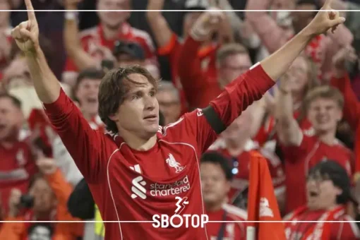SBOTOP: เฟเดริโก้ เคียซ่า เปิดใจหลังไม่มีชื่อในทีมลิเวอร์พูลลุยศึกยูฟ่า แชมเปียนส์ลีก